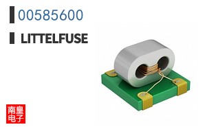00585600