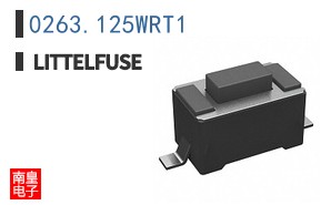 0263.125WRT1