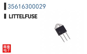 35616300029