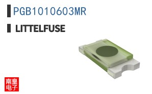 PGB1010603MR